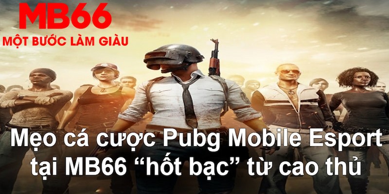 Mẹo cá cược Pubg Mobile Esport bao sinh lời